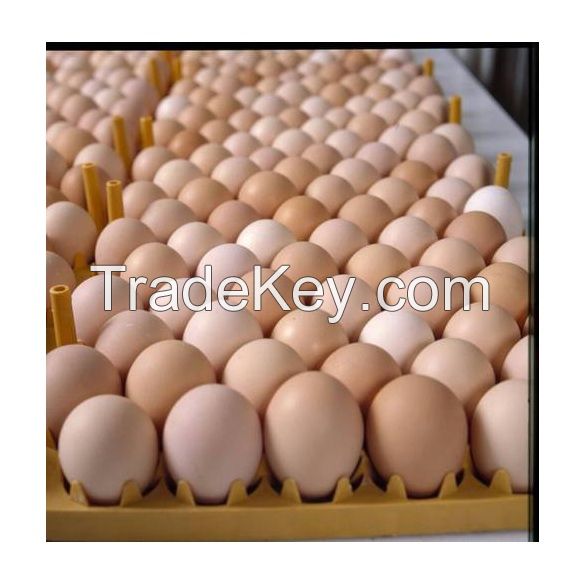 Good Quality Cheap Price White / Brown Shell Fresh Table Chicken Eggs For Export