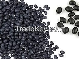 Kidney Beans