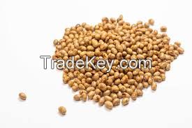 Soybeans