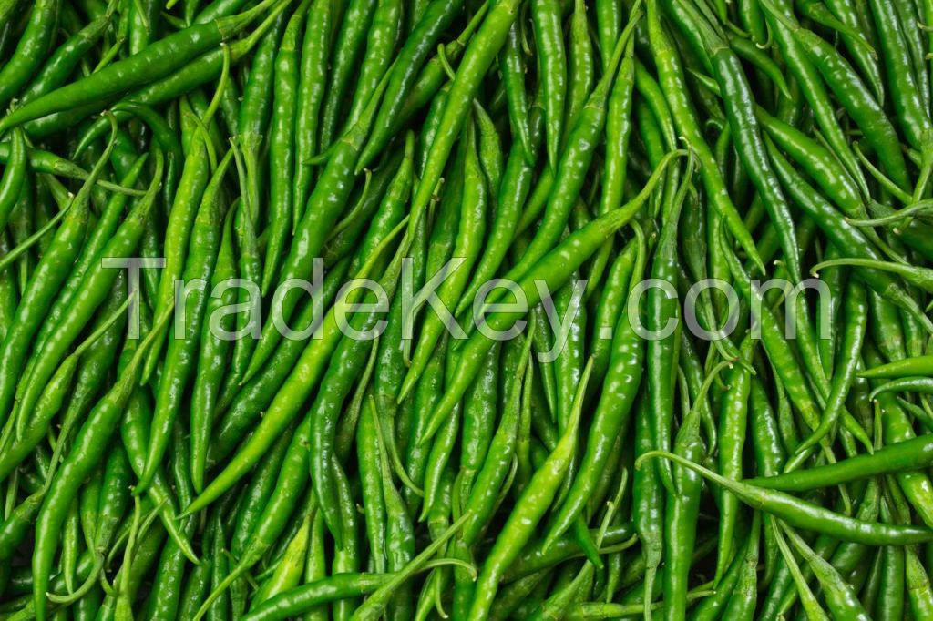 Green Chilli