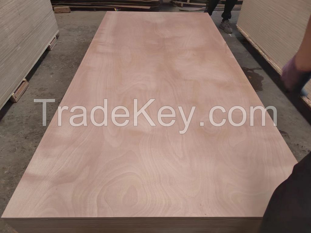 Birch/Okoume Commercial Plywood, 0.3-3 cm Thick