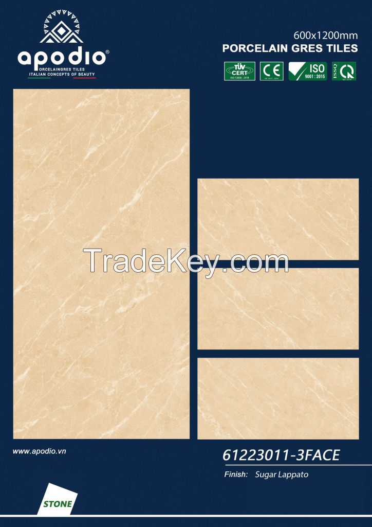 600*1200*9mm - lappato surface