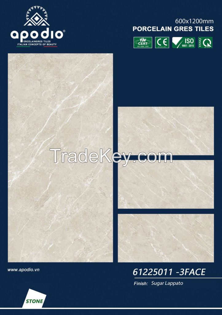 600*1200*9mm - lappato surface