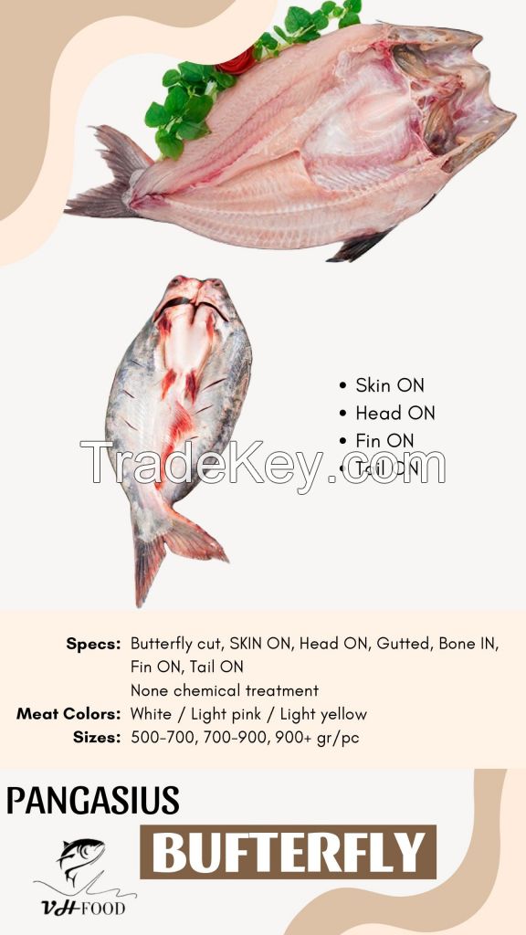 Pangasius Bufterfly