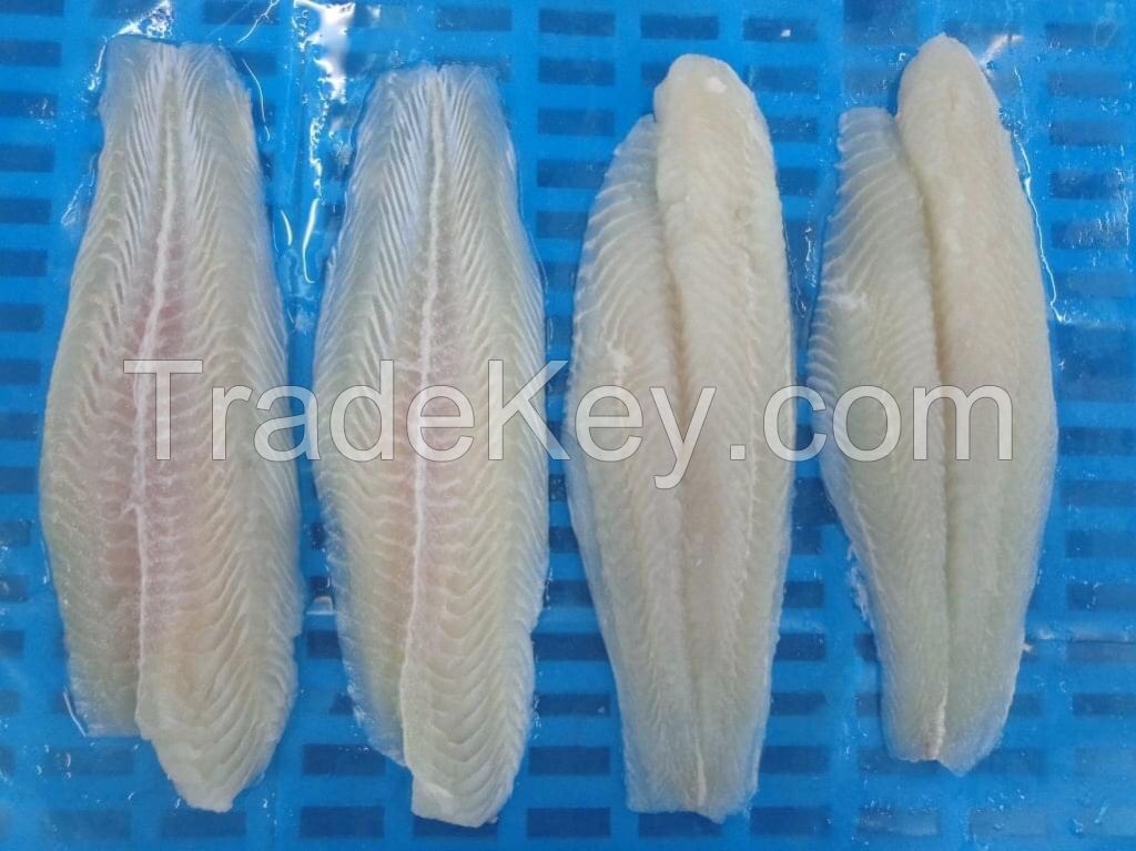 Pangasius Fillets