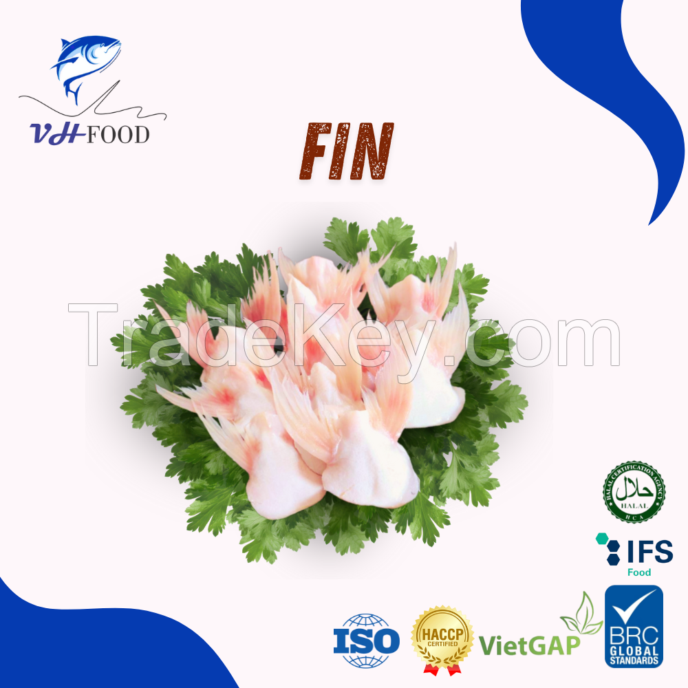 High Quality Pangasius Fins VietNam price cheap