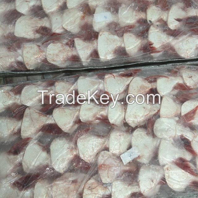 High Quality Pangasius Fins VietNam price cheap