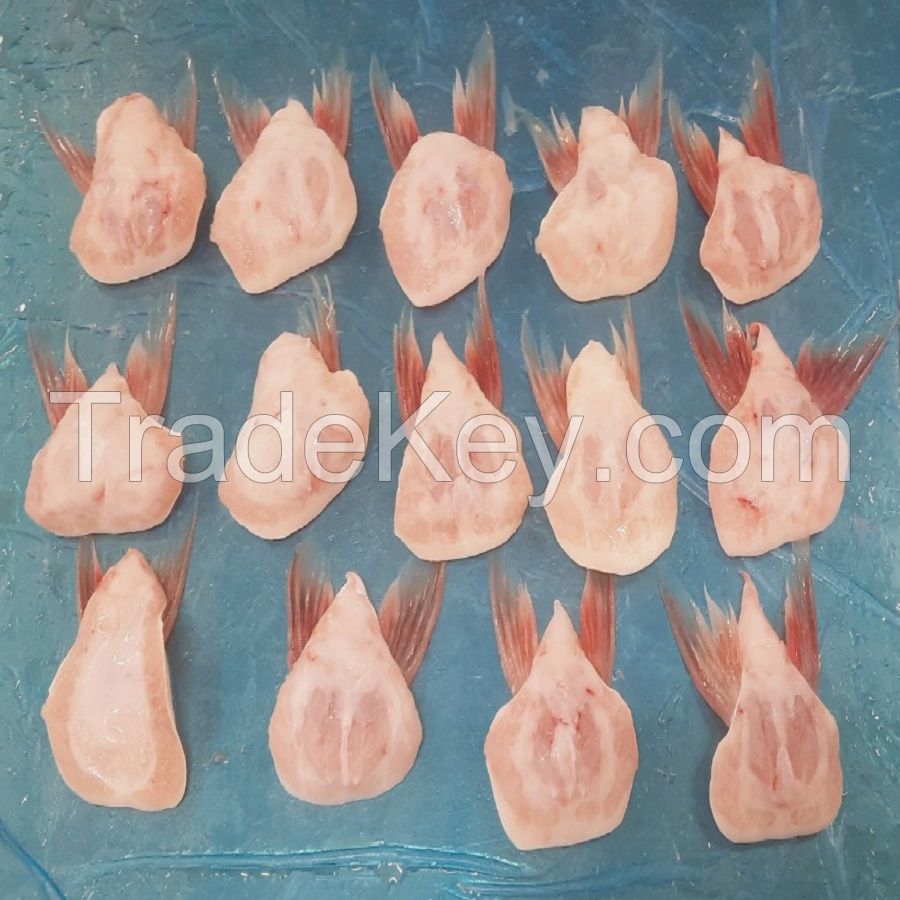 High Quality Pangasius Fins VietNam price cheap