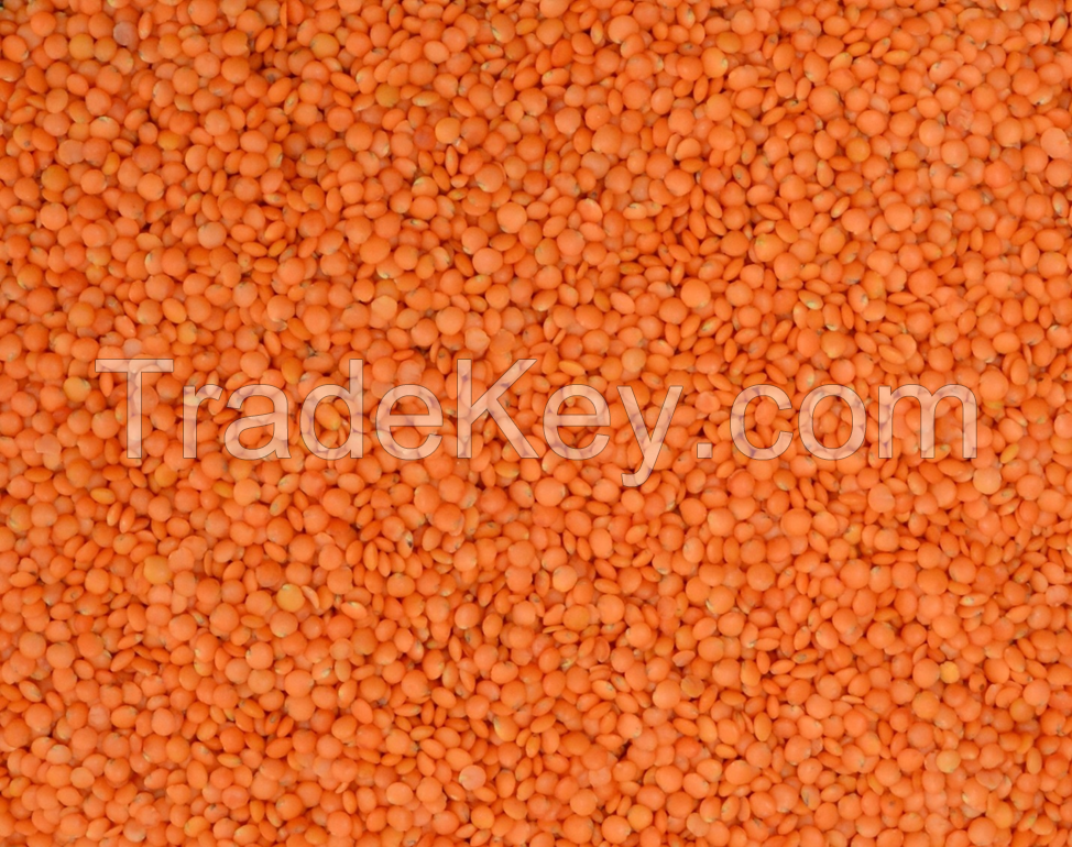 Green lentils, Yellow lentils, Red lentils