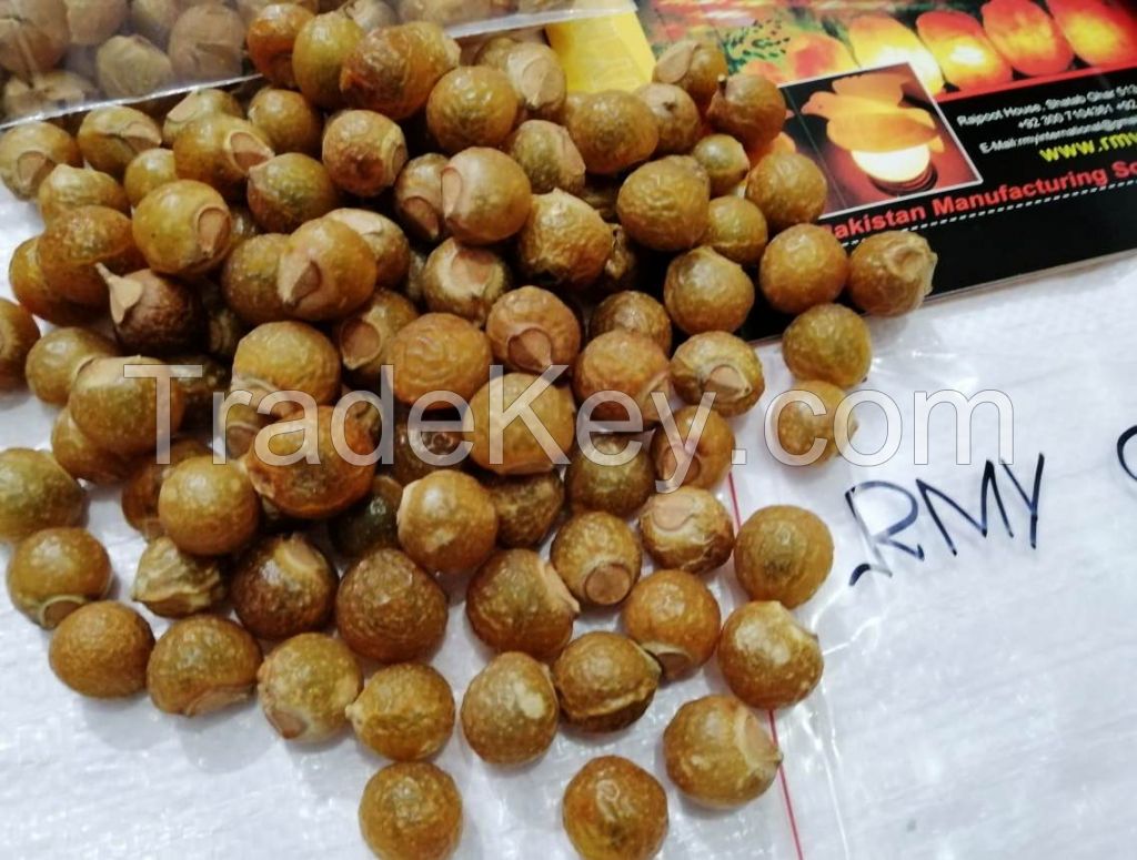 soap nuts seeds