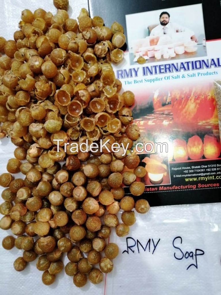 soap nuts seeds