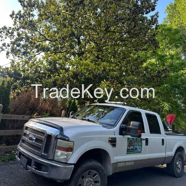 All Season Tree Service Llc