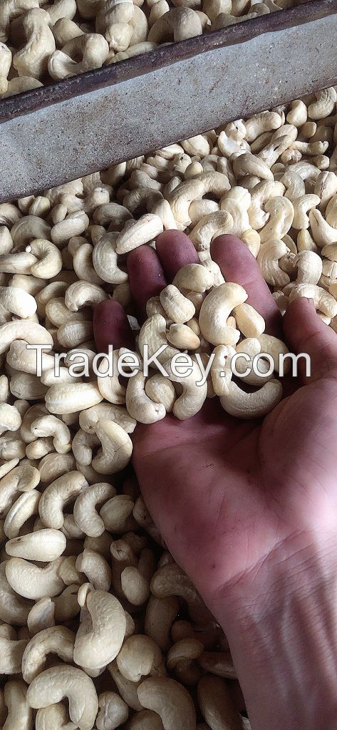 VIETNAM CASHEW KERNELS AGRIBETTER WITH PREMIUM QUALITY AT CHEAP PRICE
