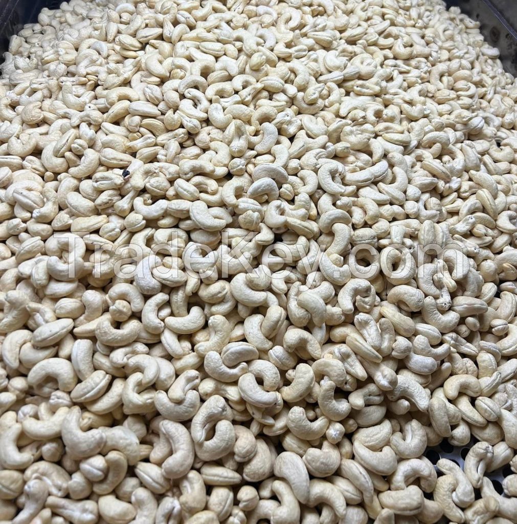 VIETNAM CASHEW KERNELS AGRIBETTER WITH PREMIUM QUALITY AT CHEAP PRICE