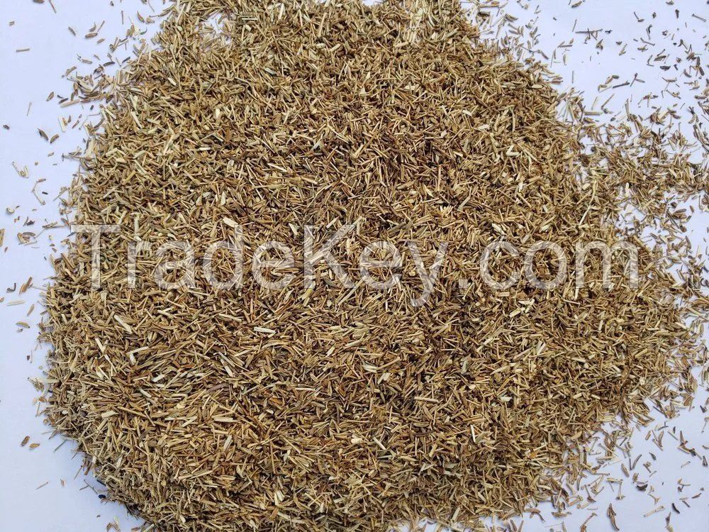 Grinding cumin  seed