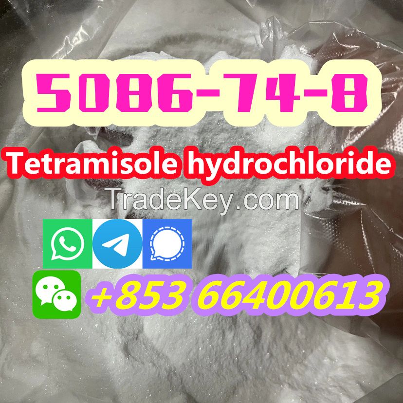  Manufacturers Direct 99% Pure CAS 5086-74-8 Tetramisole hydrochloride