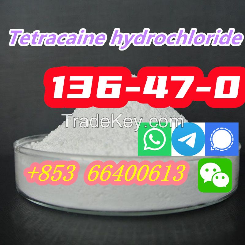  Hot Selling High Purity 99% CAS 136-47-0 Tetracaine hydrochloride