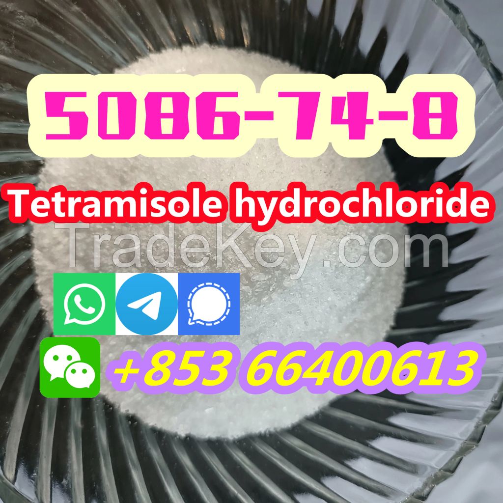  Manufacturers Direct 99% Pure CAS 5086-74-8 Tetramisole hydrochloride