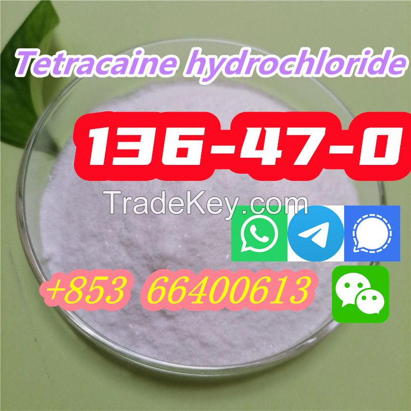  Hot Selling High Purity 99% CAS 136-47-0 Tetracaine hydrochloride