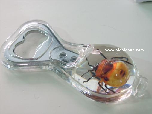 Man-made Amber Cap Opener (Insect)