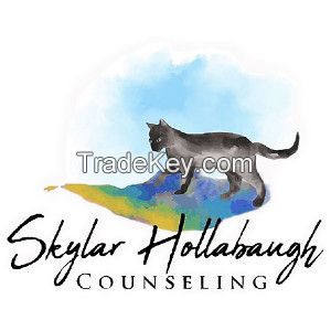 Skylar Hollabaugh Counseling