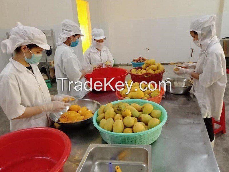 Soft Dried Mango from Vietnam Supplier