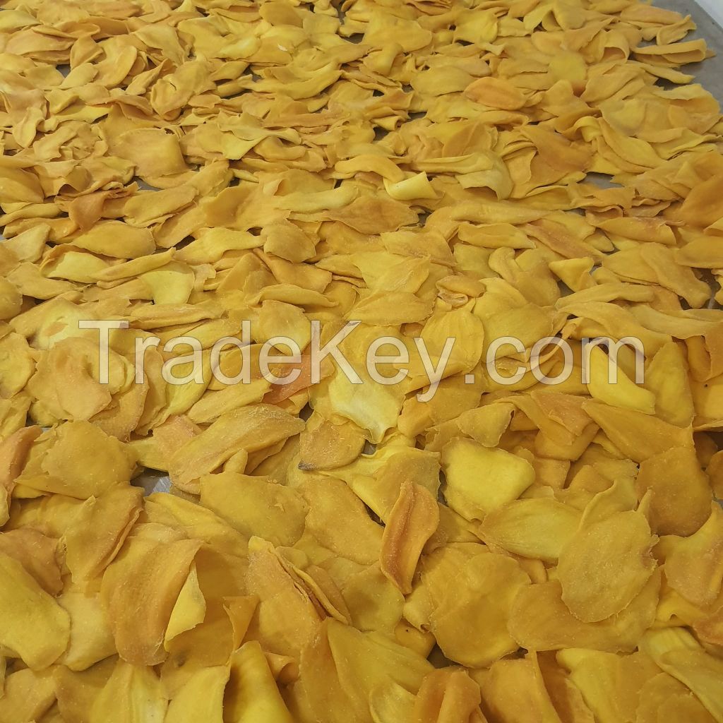 Soft Dried Mango from Vietnam Supplier