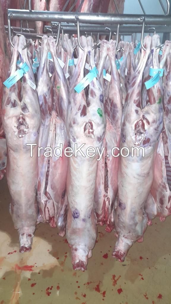 frozen and chilled lamb carcass