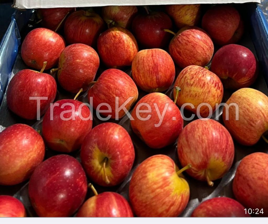 royal gala apples