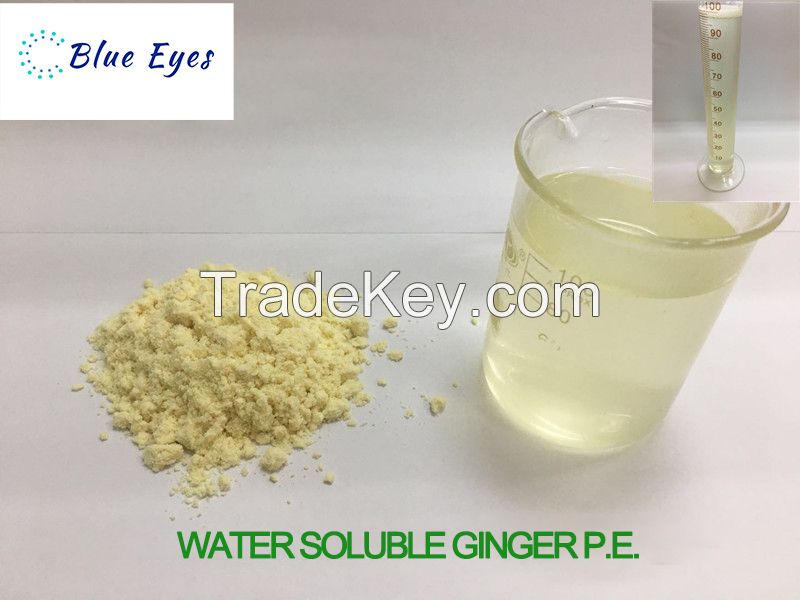 Water Soluble Ginger P.E