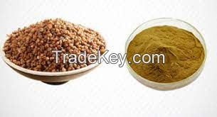 Tartary buckwheat extract/ Fagopy rum tataricum P.E.