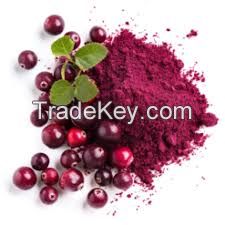 Cranberry P.E./Cranberry Extract