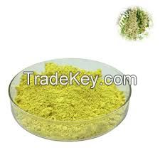 Quercetin powder 95% Sophora japonica flower extract