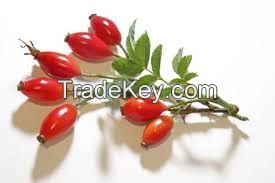 Rose Hips P.E. Rose hip Extract Powder ,VC ,Polyphenols 
