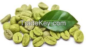 Water Soluble Green Coffee Bean Extract Green coffee P.E  Chlorogenic acid 
