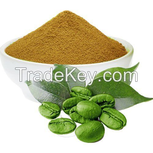 Water Soluble Green Coffee Bean Extract Green coffee P.E  Chlorogenic acid 