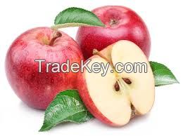 Apple P.E Apple Extract Apple polyphenols