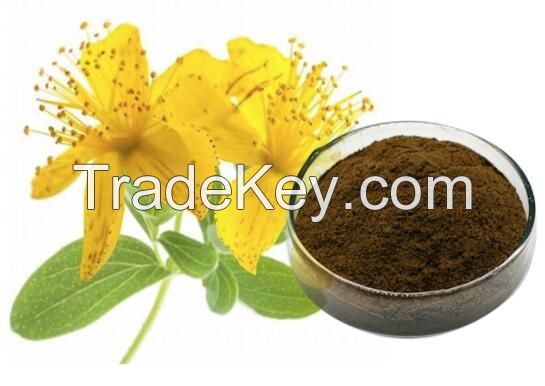 Hypericum Perforatum P.EHypericum perforatum extract 0.3% Hypericin