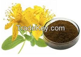 Hypericum Perforatum P.EHypericum perforatum extract 0.3% Hypericin