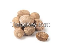 Myristica Fragrans Extract Nutmeg Extract