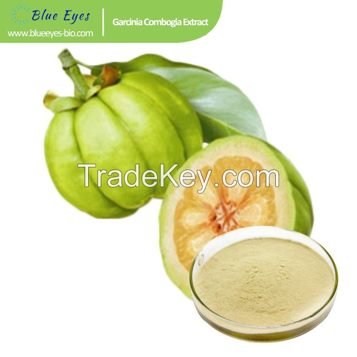 Garcinia cambogia extract,HCA, Hydroxy Citric acid,Rattan yellow fruit extract,