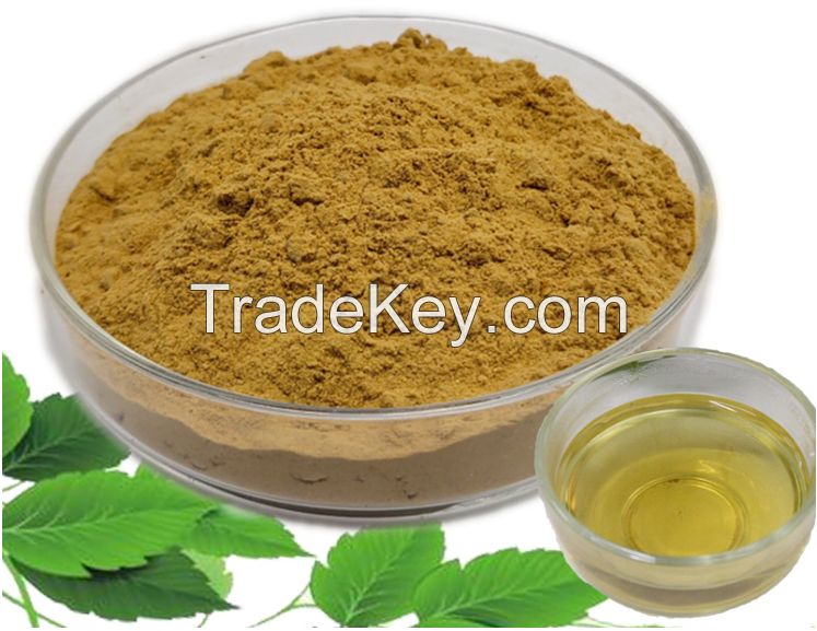 Honeysuckle Flower Extract