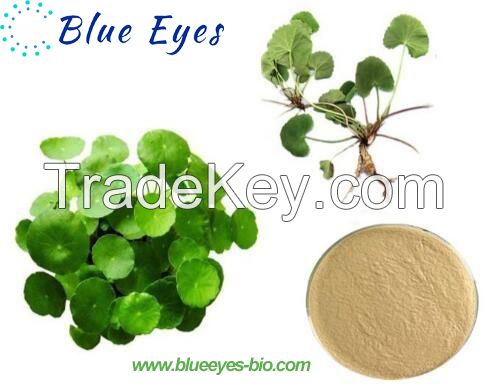 High Purity Madecassoside Supplier Organic Centella Asiatica Extract