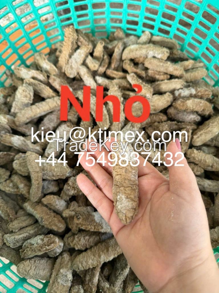 Dried Sea Cucumber 447549837432