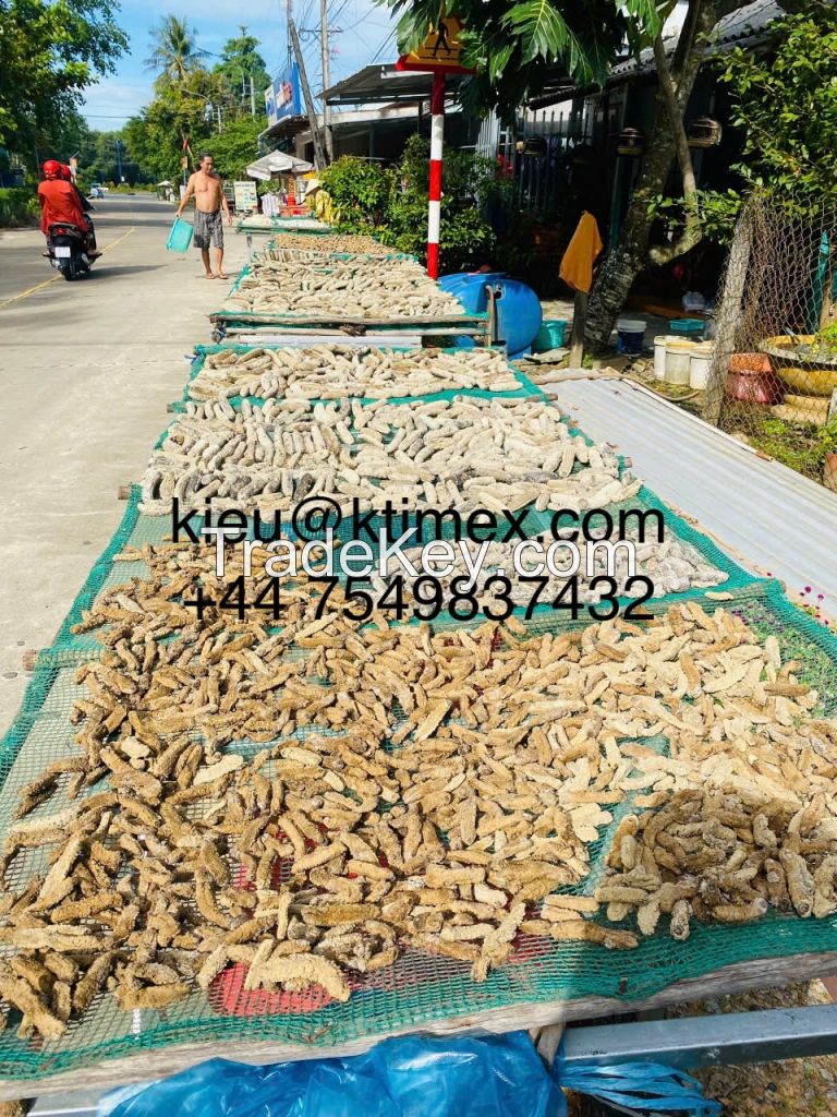 Dried Sea Cucumber 447549837432