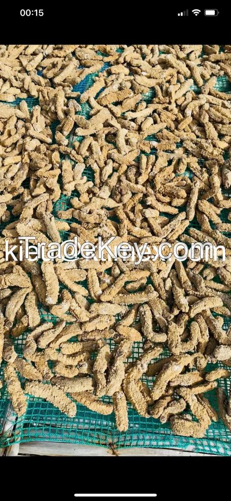 Dried Sea Cucumber 447549837432