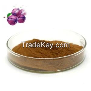 Factory Direct Sales of Black Plum Powder 30: 1 50: 1 Black Plum Extract