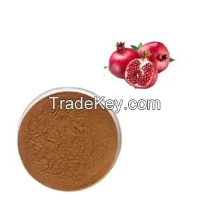 10: 1 30: 1 50: 1 Pomegranate Peel Tannin Flower Acid Pomegranate Peel Powder Multi Specification Pomegranate Peel Extract