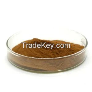 Capsicum Extract Powder Plant Extract 10: 1 Multi Specification Capsicum Extract
