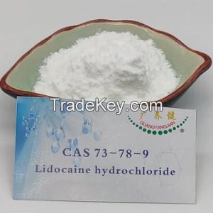 99% Anesthetic Lidocaine HCl Lidocaine Hydrochloride Powder